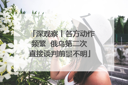 深观察丨各方动作频繁  俄乌第二次直接谈判前景不明
